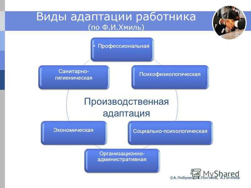 Какие виды адаптации выходят на первый план в данной ситуации