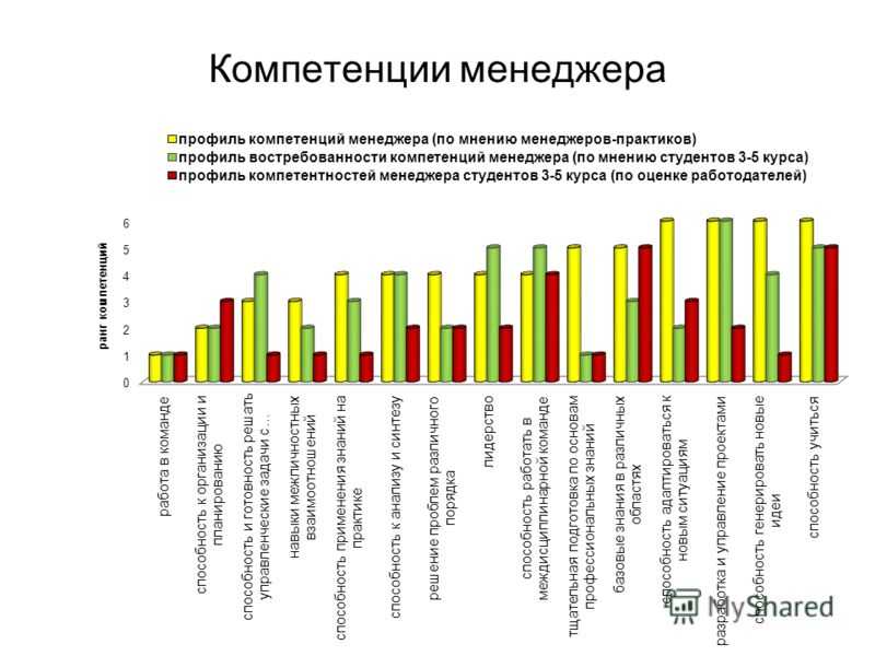 Ключевые навыки менеджера проектов