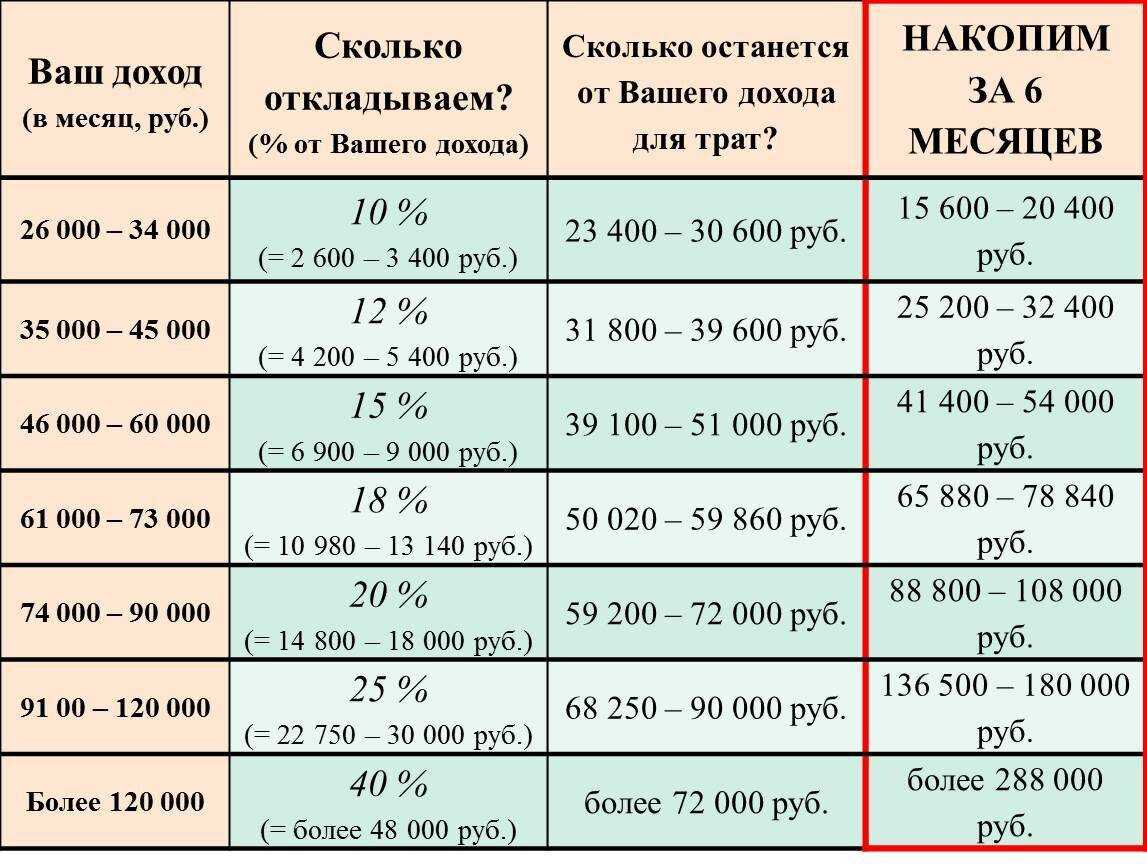 Бизнес по выращиванию кур несушек: рентабельность, выбор породы, образец бизнес-плана, содержание и кормление