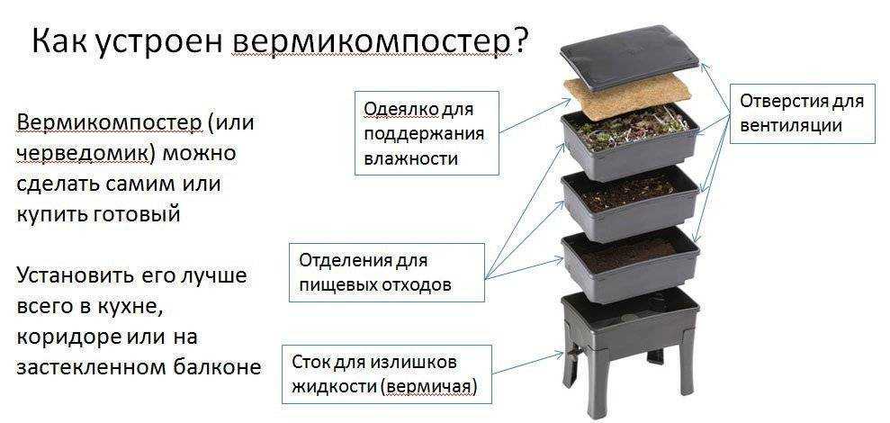 Бизнес-план по разведению червей