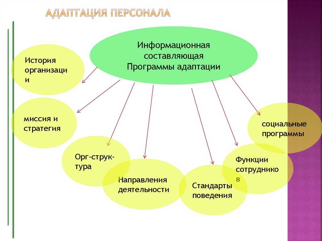 Схема адаптации персонала