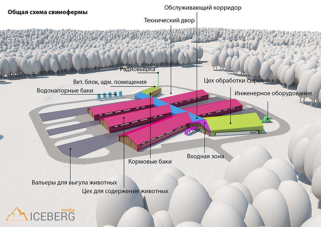 Свиней зона. План свинофермы на 1000 голов. Проект свинокомплекса на 1000 голов. Генеральный план свиноводческого комплекса. Свинарник проект фермы.