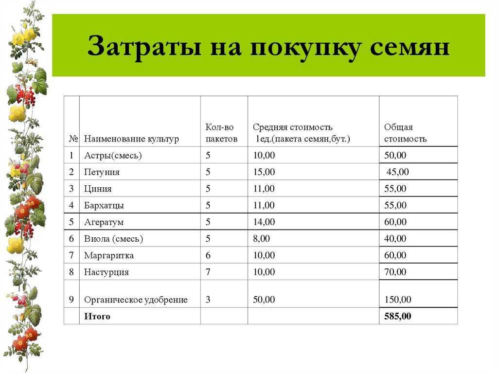 Бизнес-план питомника растений, растениеводства, выращивания рассады цветов, магазина семян скачать с готовыми расчетами