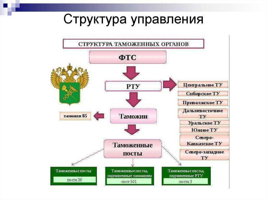 Структура фтс схема