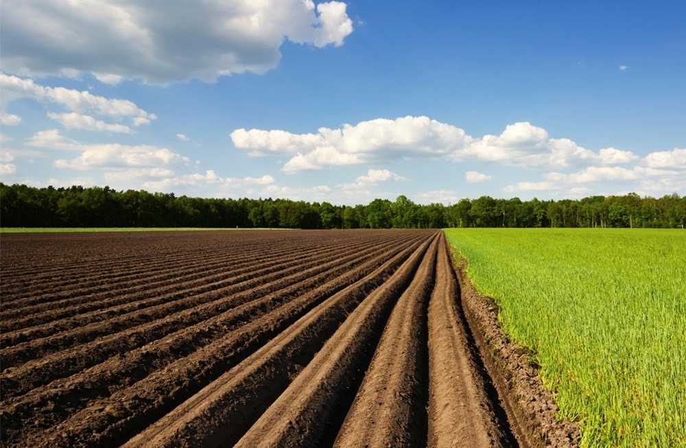 Как продать земельный пай сельхозназначения?