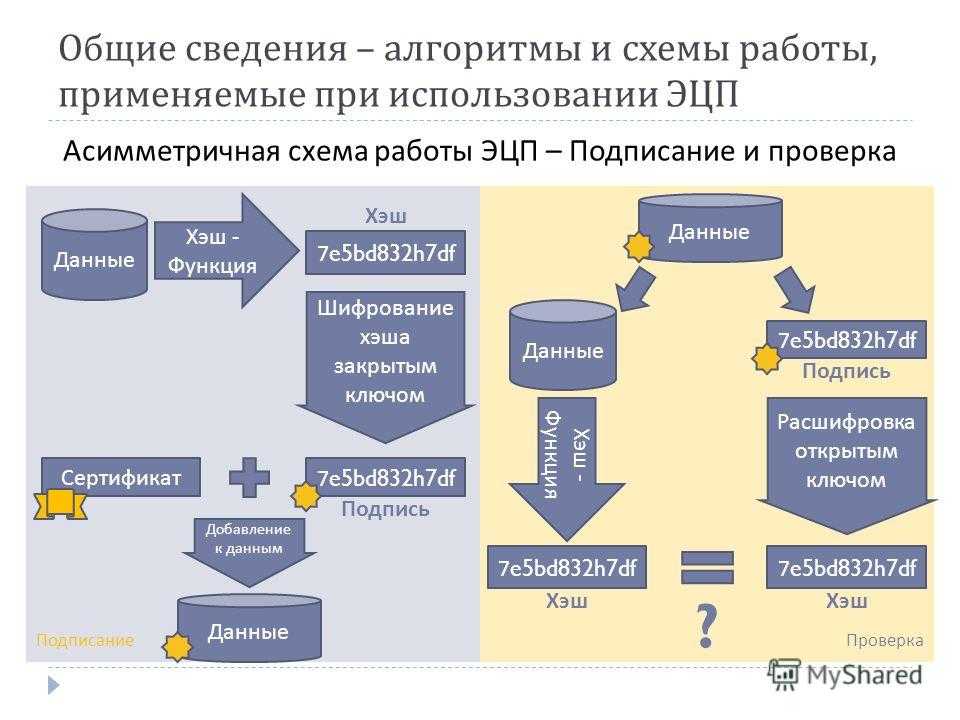Электронная подпись | zakupkihelp.ru