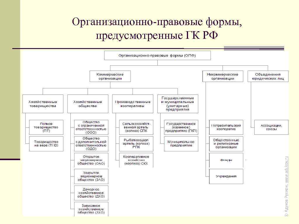 Организационно-правовые формы юридических лиц ГК РФ таблица.