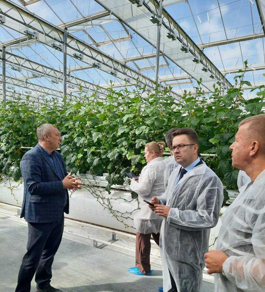 Производство теплиц как бизнес.