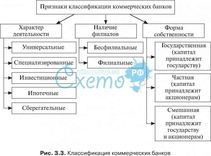 Виды коммерческих банков рф: понятие, классификация, функции