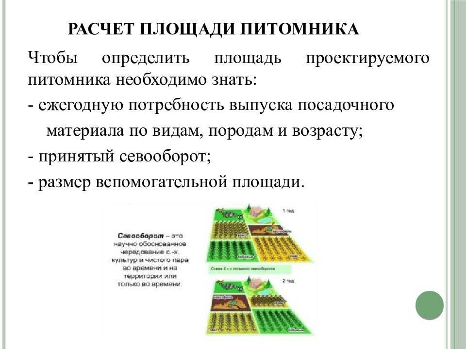 Бизнес план по организации питомника растений