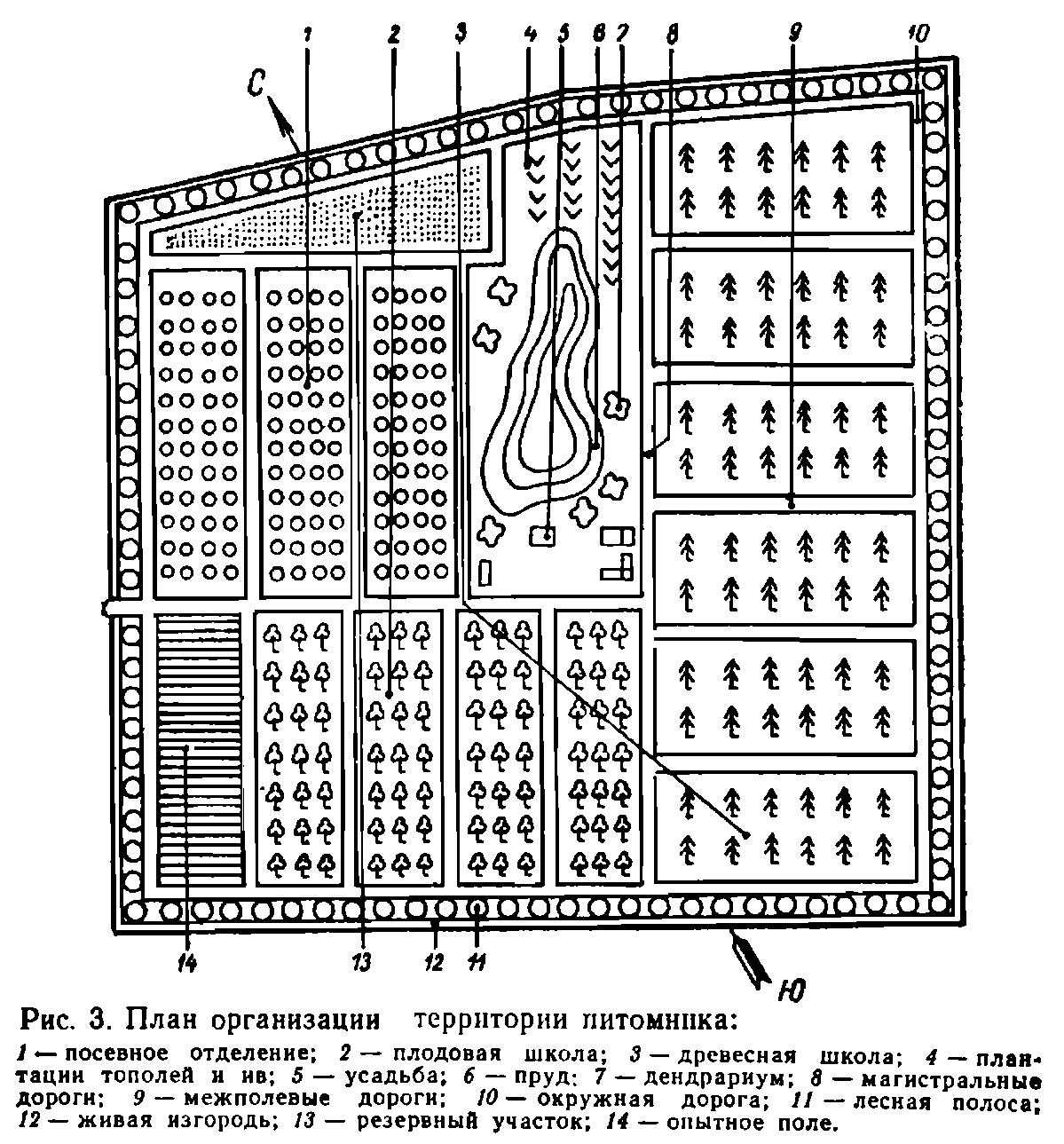 Полный бизнес-план питомника растений