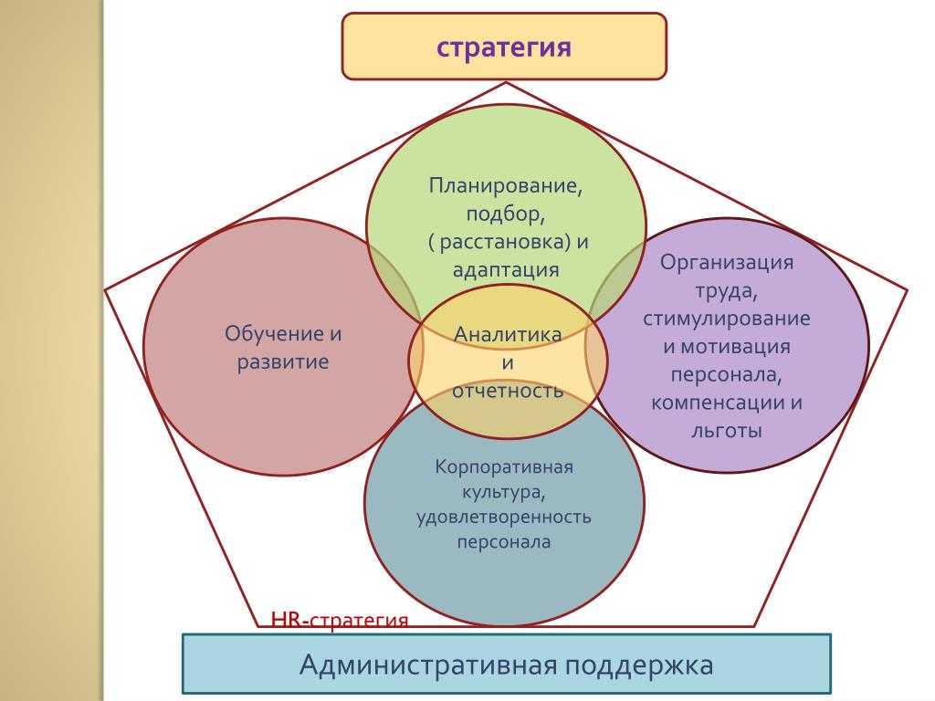 Этапы адаптации схема