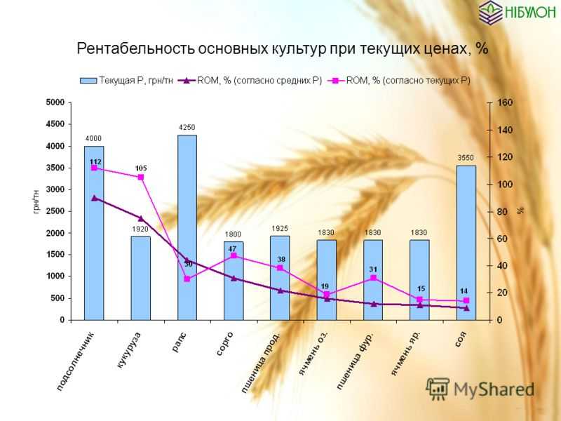 Бизнес план растениеводство
