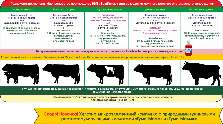 Как открыть питомник собак: необходимые условия и документы, особенности, советы юристов