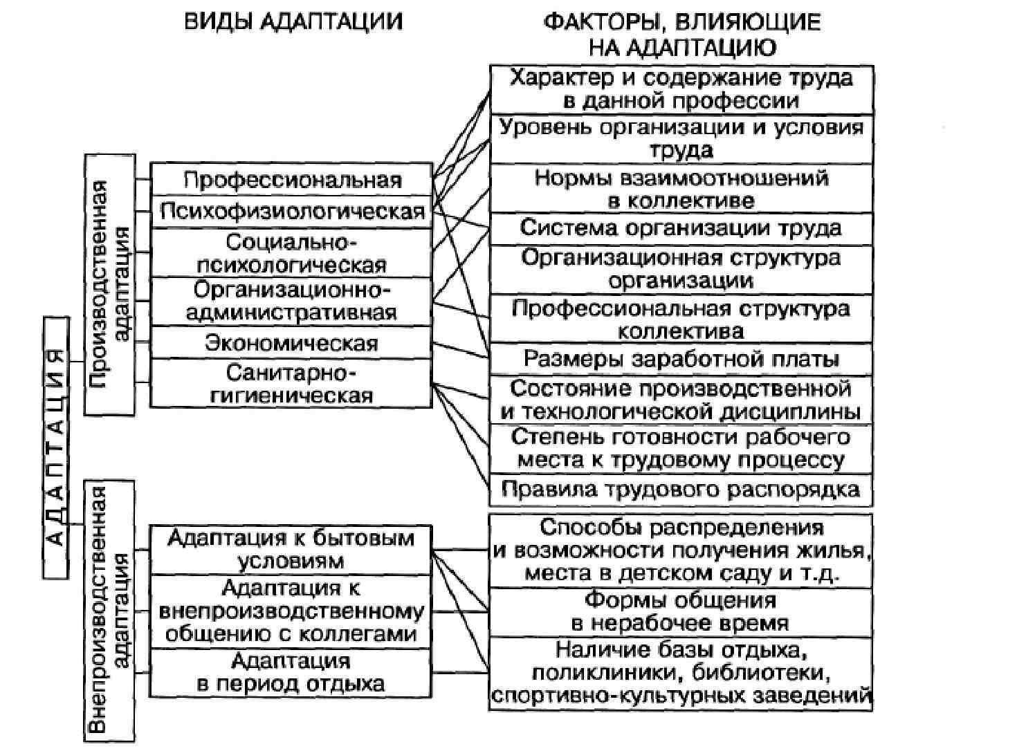 Схема адаптации персонала