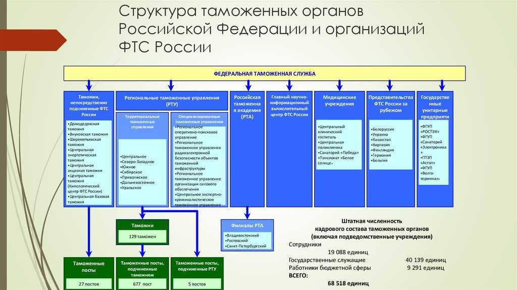 Дорожная карта фтс