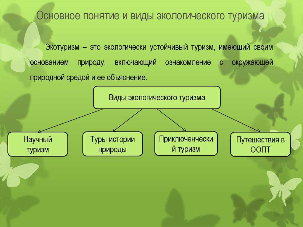 Функции в окружающем мире презентация