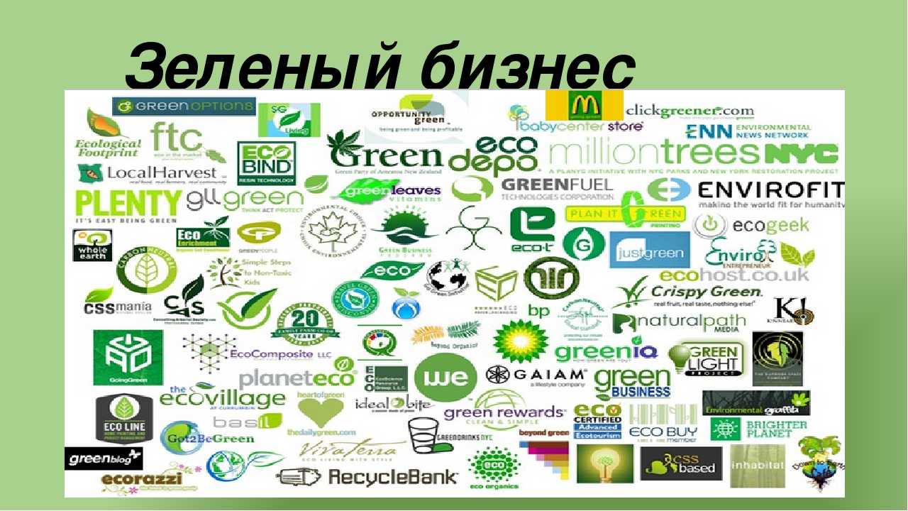 «зеленый бизнес»: 20 идей как заработать на экологии - бизнес-журнал b-mag