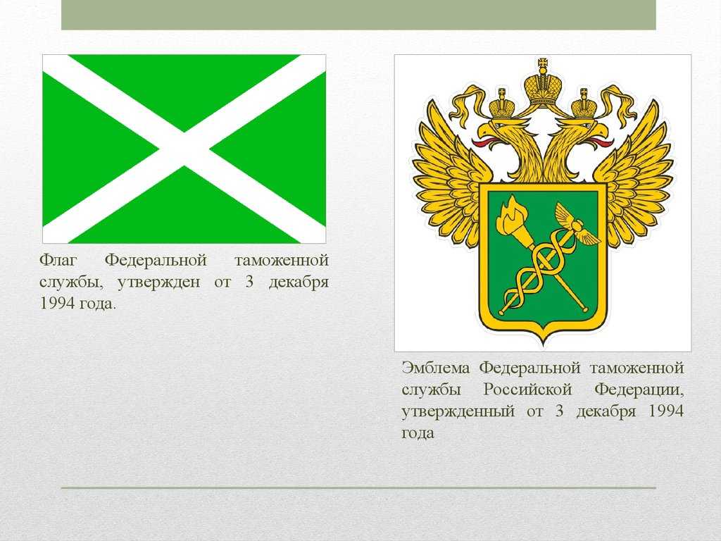 Понятие таможни и её функции. организация таможенных операций