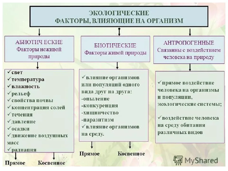 Вредные факторы среды обитания в современных условиях схема