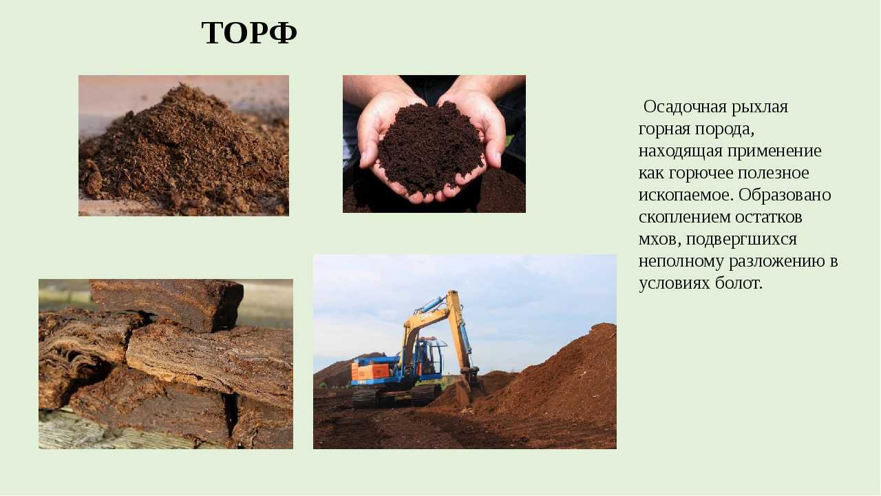 Землеустройство