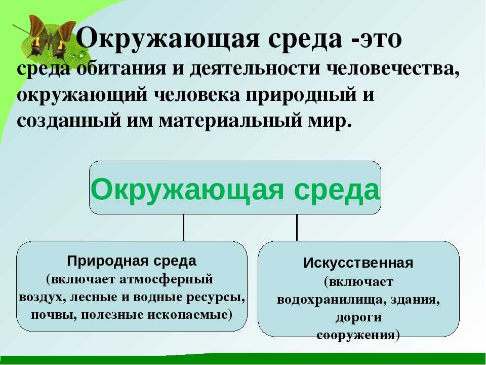 План это определение окружающий мир