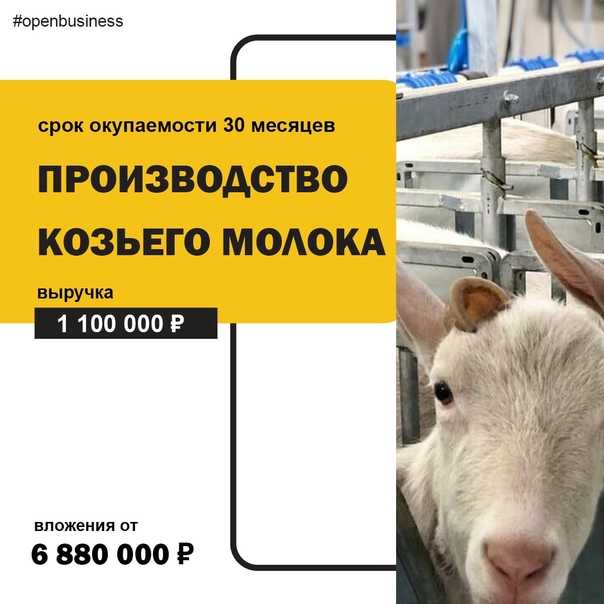 Бизнес план на козью ферму