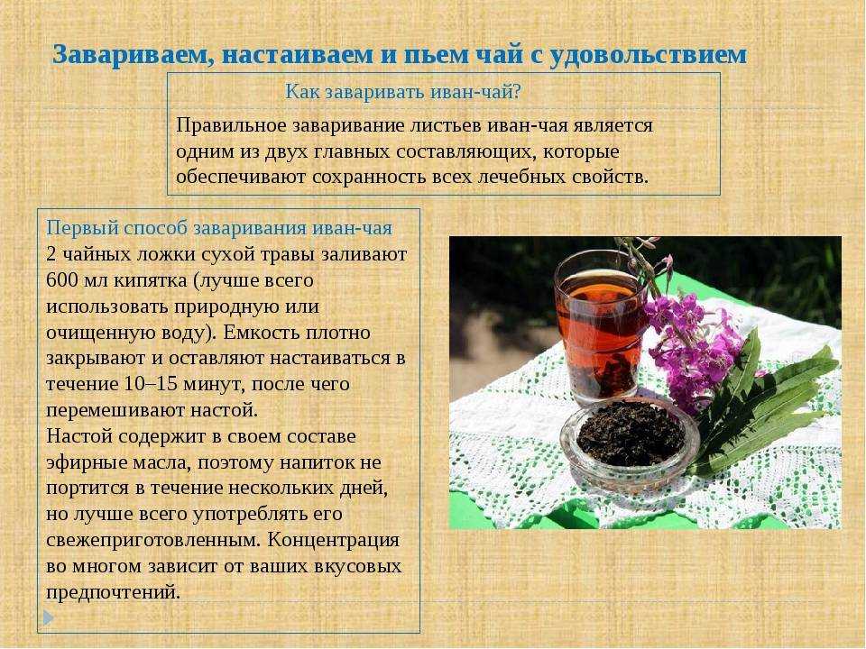 Выгодно или нет открывать чайный бизнес с нуля: бизнес план чайной лавки с расчетами