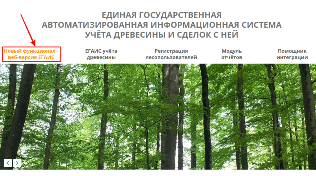 Электронные документы лесопользователя. ЕГАИС лес. Единой государственной системы учета древесины и сделок с ней.. Учет древесины. Учет древесины в лес ЕГАИС.