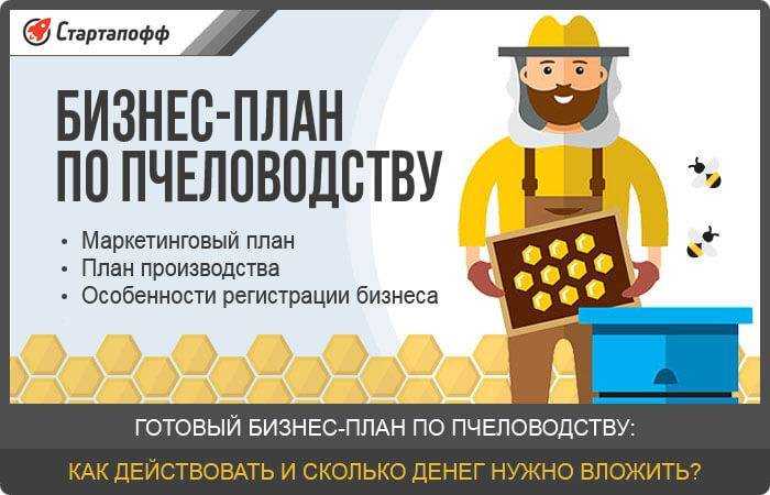 Как открыть свою пасеку