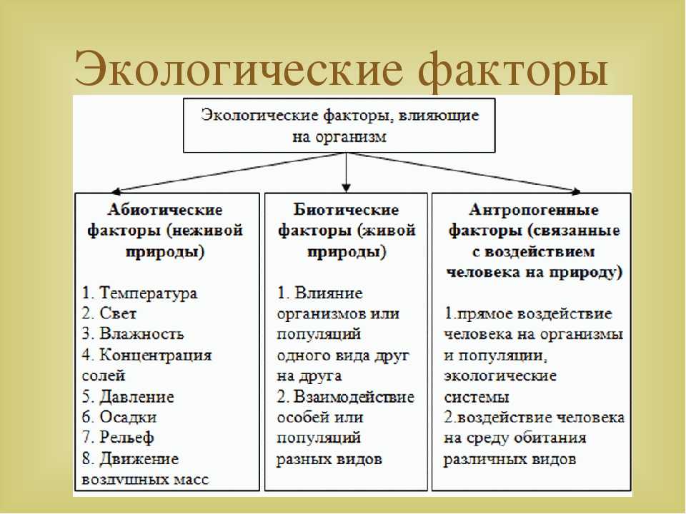 Характеристика внешних факторов и описание области их влияния на проект