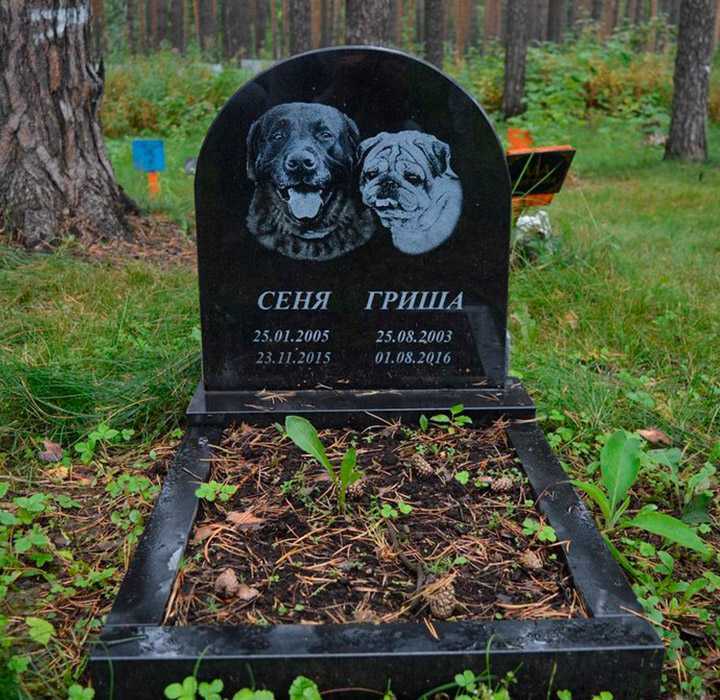 Похороны домашних животных москва