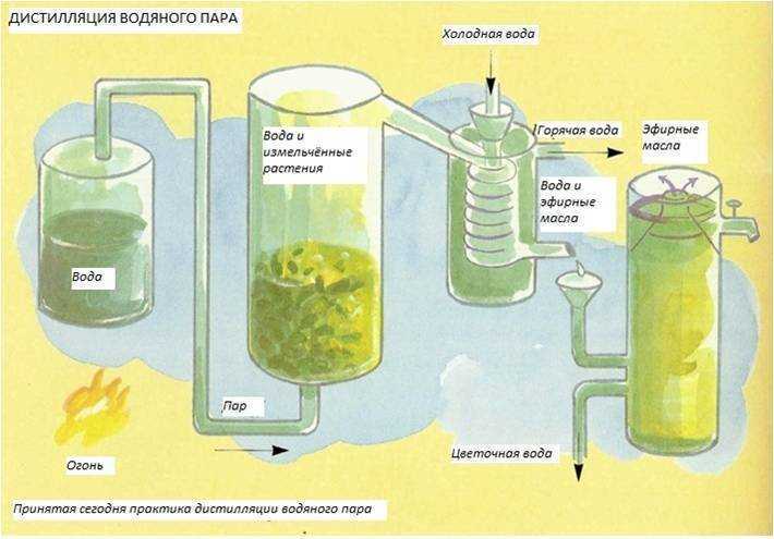 Производства масла на мини-заводе — выгоды и перспективы
