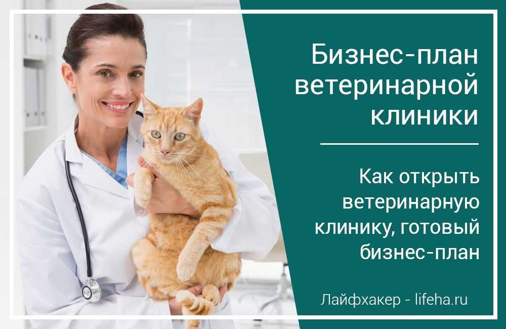Бизнес-план ветеринарной аптеки - «жажда» - бизнес-журнал