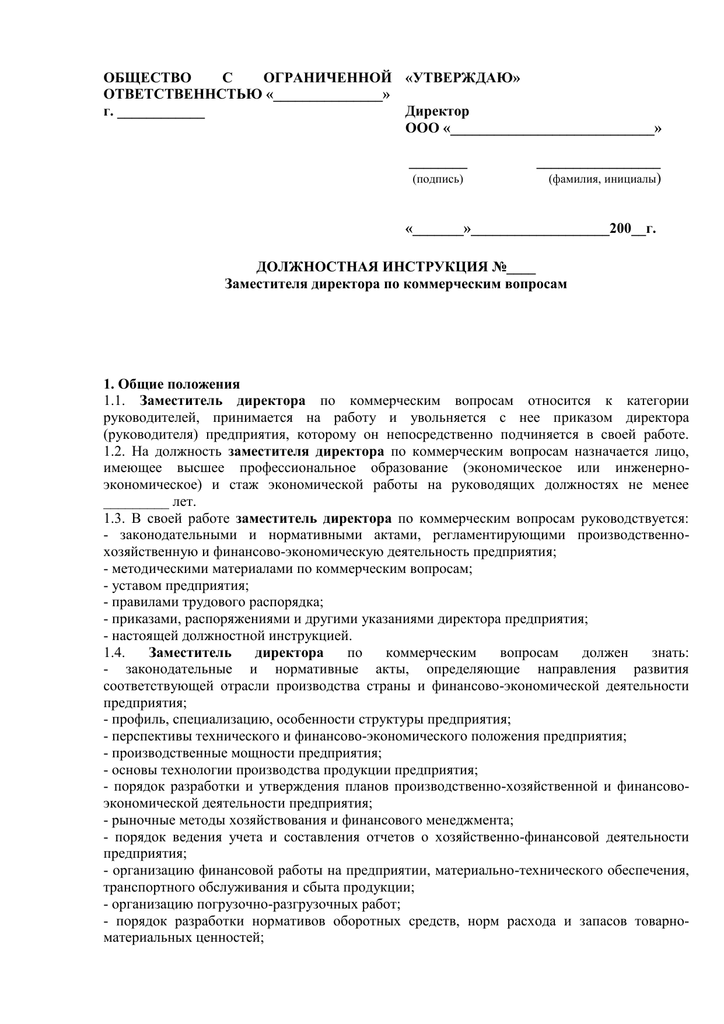 Должностная инструкция генерального директора по профстандарту образец 2021