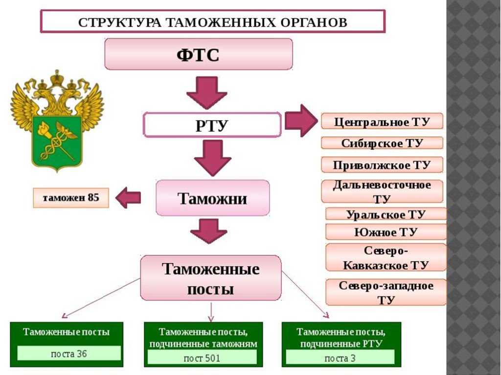 Структура фтс схема