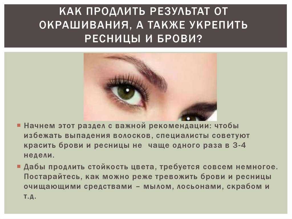 Как открыть броу бар с нуля?
