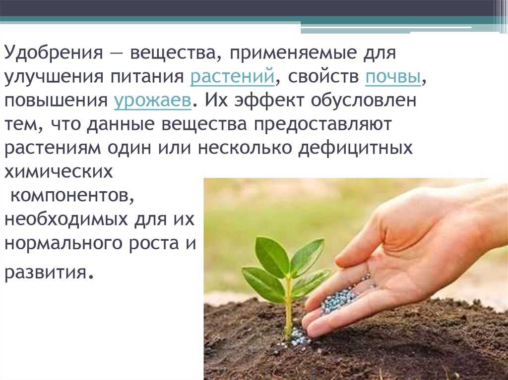Каково значение процесса деления в жизни растения. Питание растений удобрения. Подкормка растений. Удобрения презентация. Удобрение почвы.