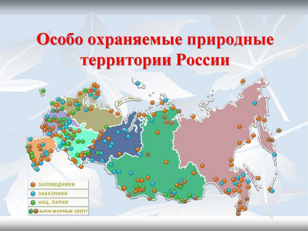 Топ-20 заказников российской федерации