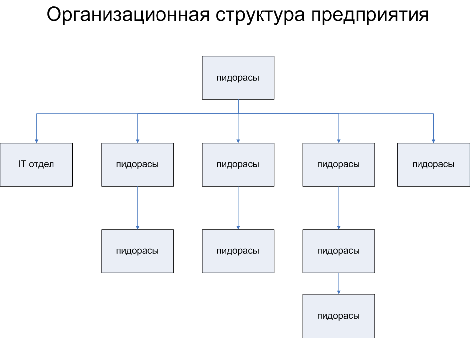 Организационная структура предприятия: схема, виды, плюсы и минусы