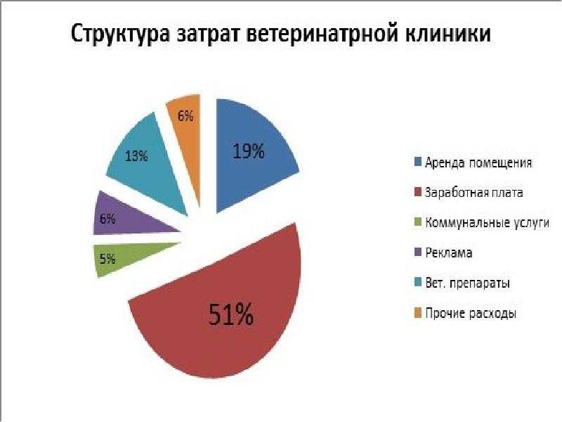 Что нужно, чтобы открыть ветеринарную аптеку