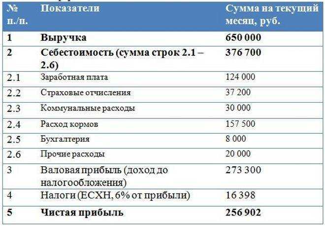 Как открыть свиноферму на 50 и на 100 голов