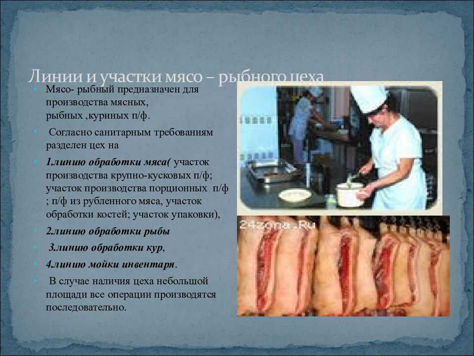 Лекция 4. оборудование для обработки мяса, рыбы (2 часа)