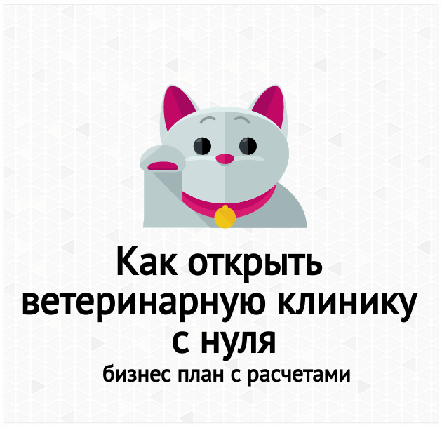 Как открыть ветеринарную аптеку с нуля и сколько это стоит: бизнес план с расчетами
