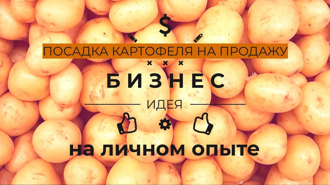 Характеристика овощей