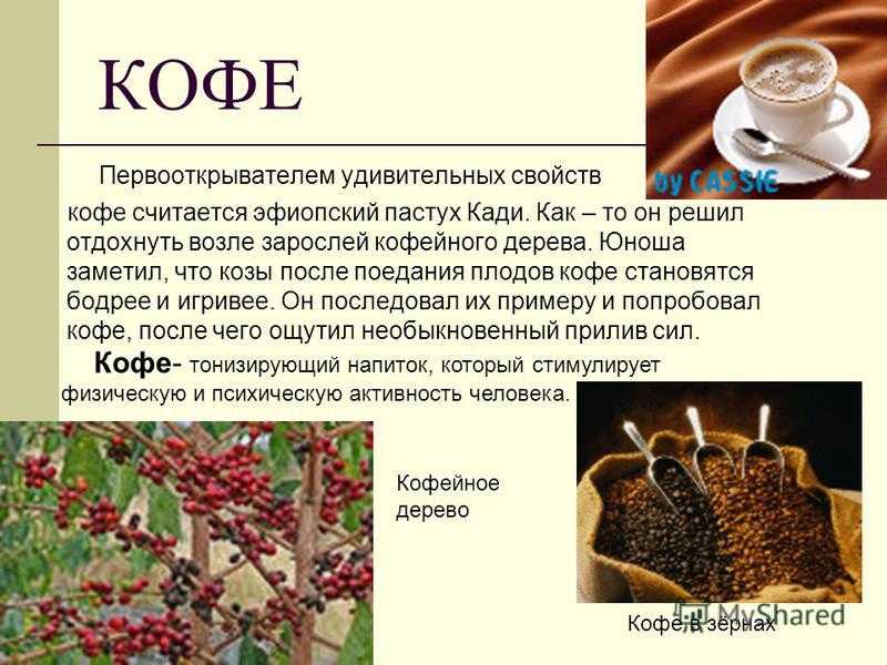 Сколько зарабатывает кофе? и легко ли быть бариста