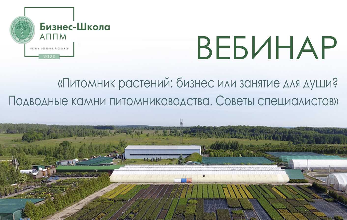 Топ-8 составляющих бизнес-плана питомника растений