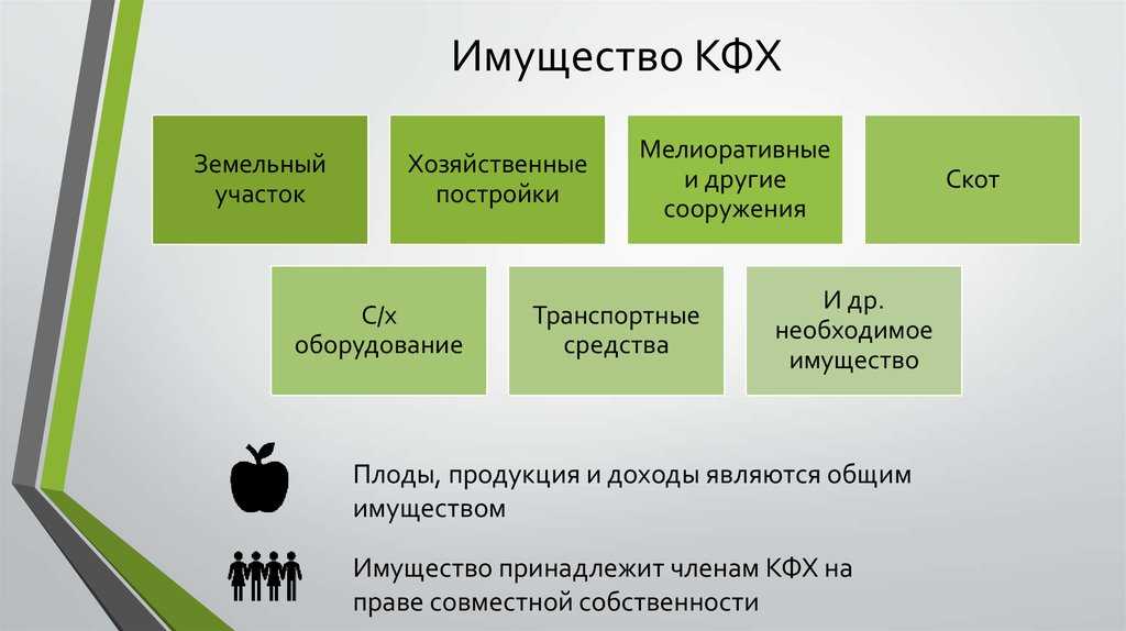 Как открыть кфх в 2021 году: пошаговая инструкция