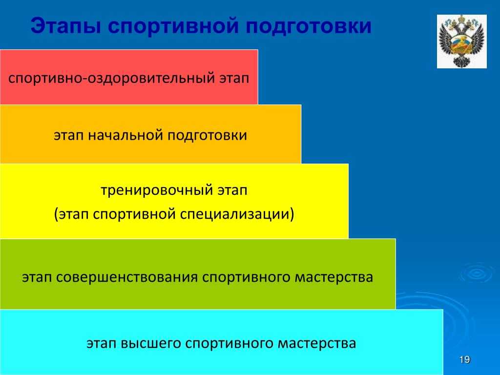 Внедрение проекта в реальные условия подготовки в спорте