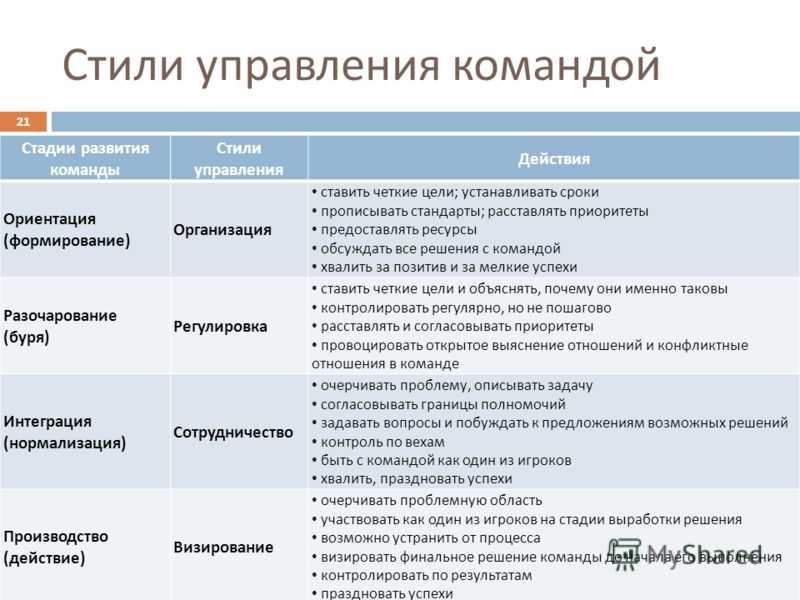 Стили управления проектами